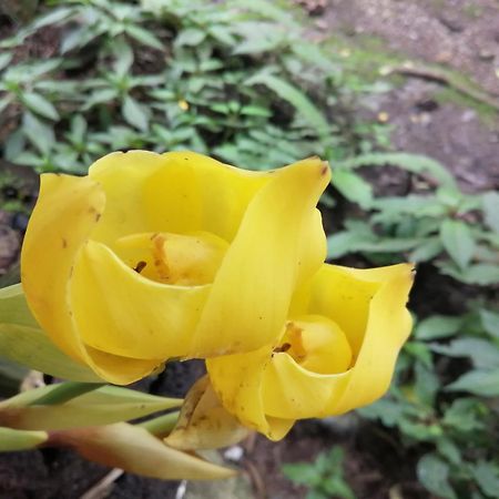 옥사팜파 Refugio De Orquideas 빌라 외부 사진