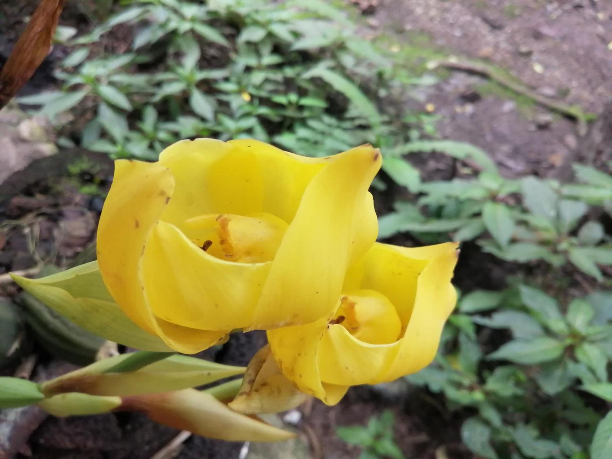 옥사팜파 Refugio De Orquideas 빌라 외부 사진