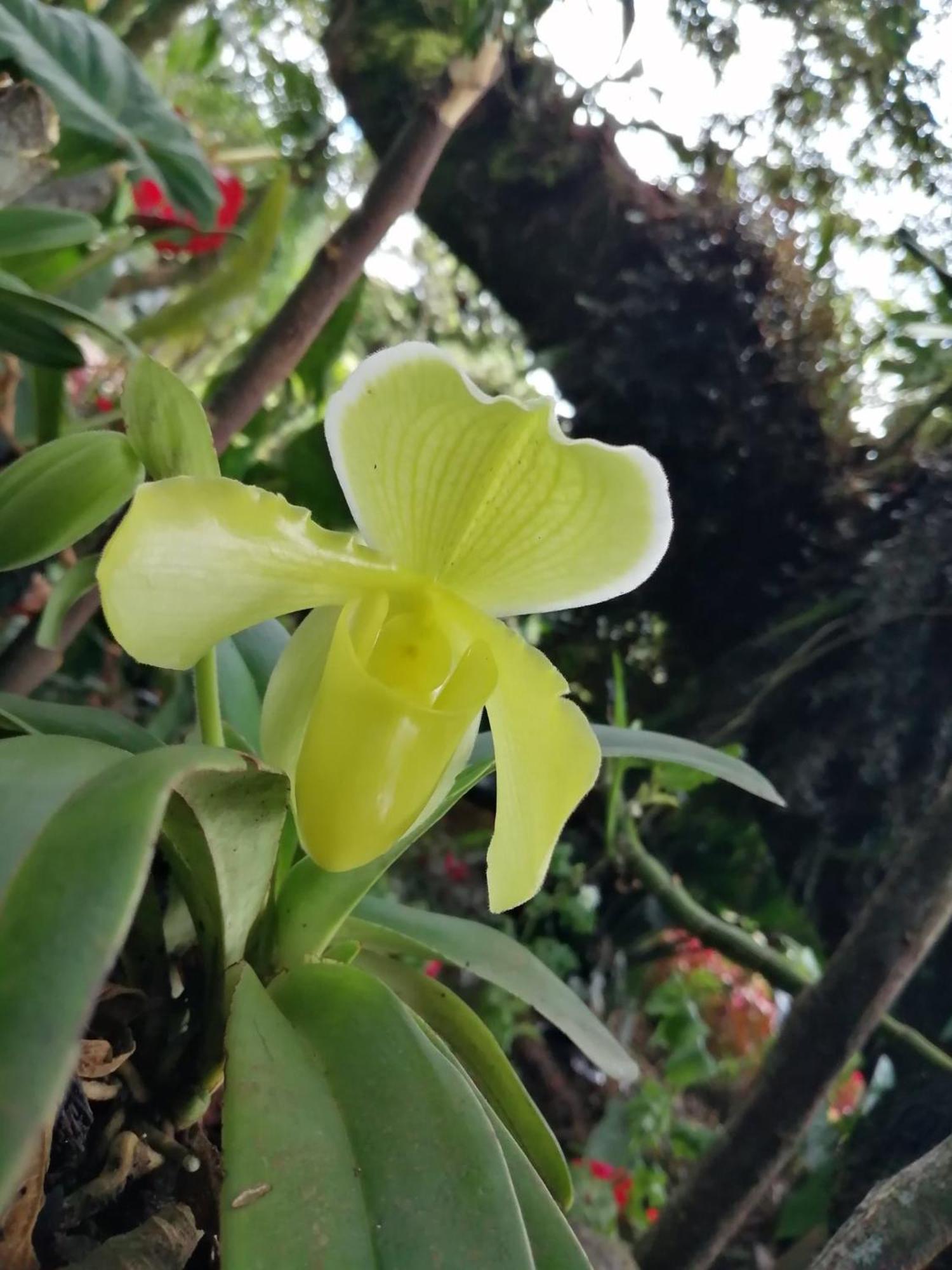옥사팜파 Refugio De Orquideas 빌라 외부 사진
