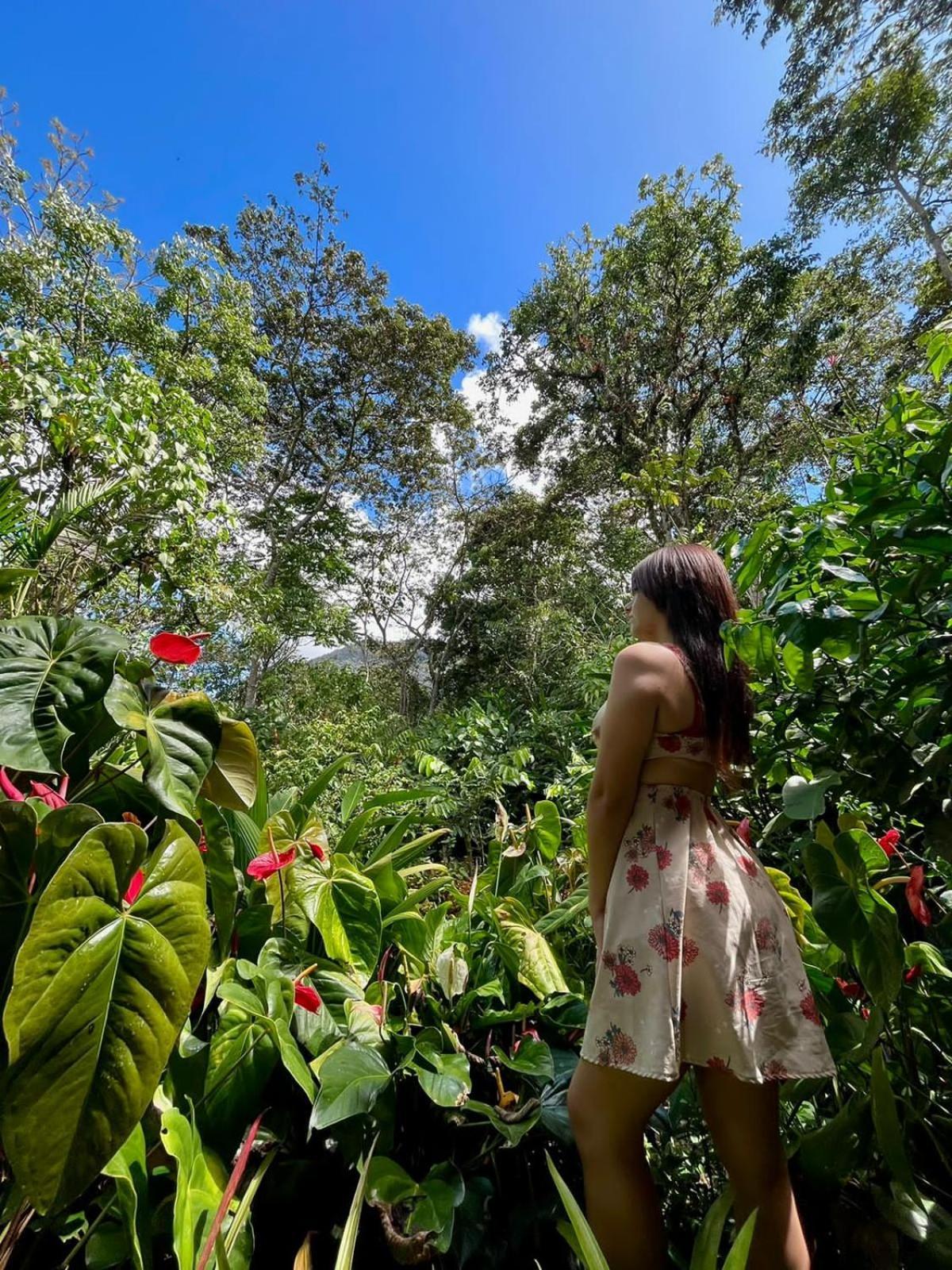 옥사팜파 Refugio De Orquideas 빌라 외부 사진
