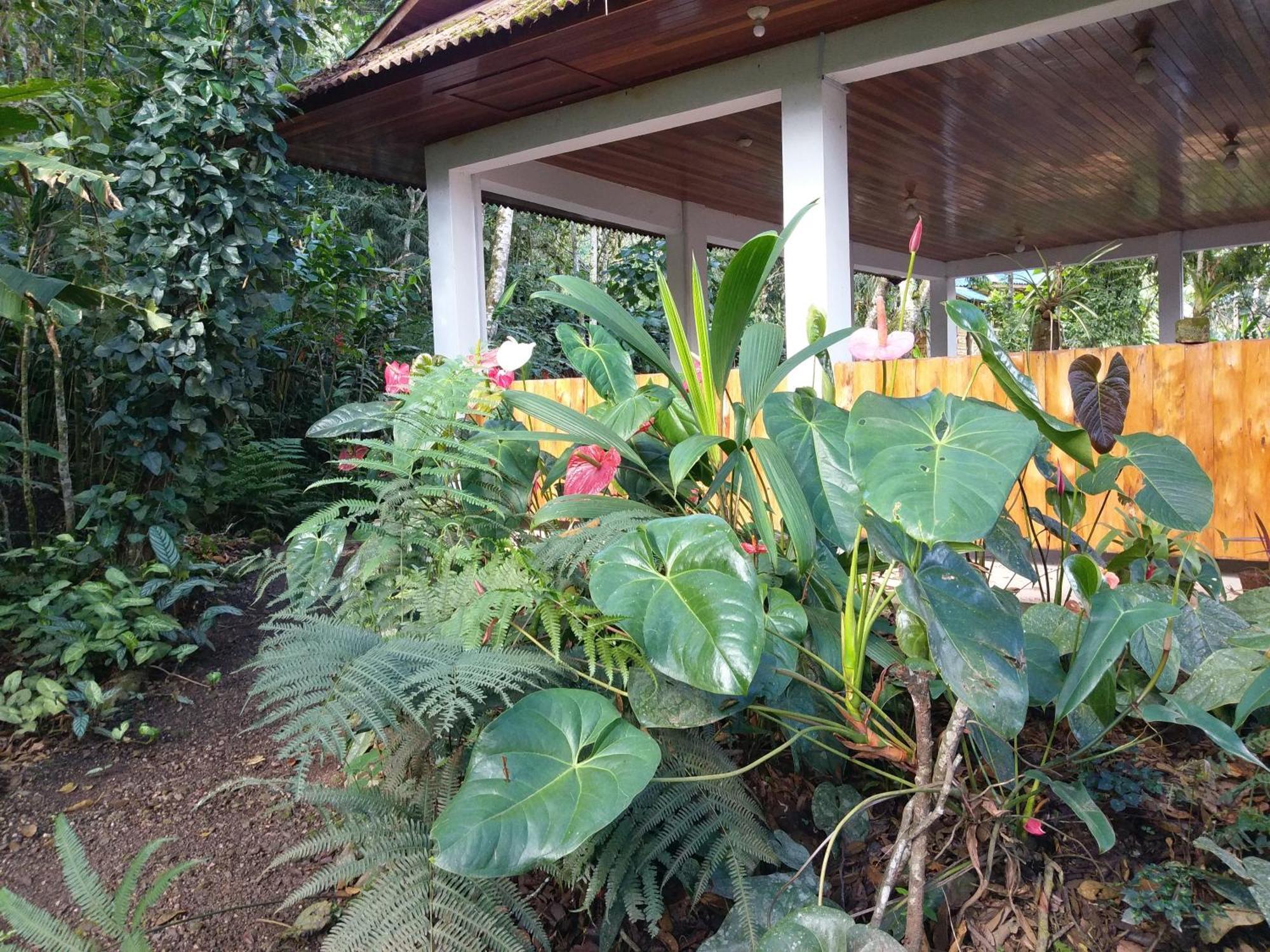 옥사팜파 Refugio De Orquideas 빌라 외부 사진