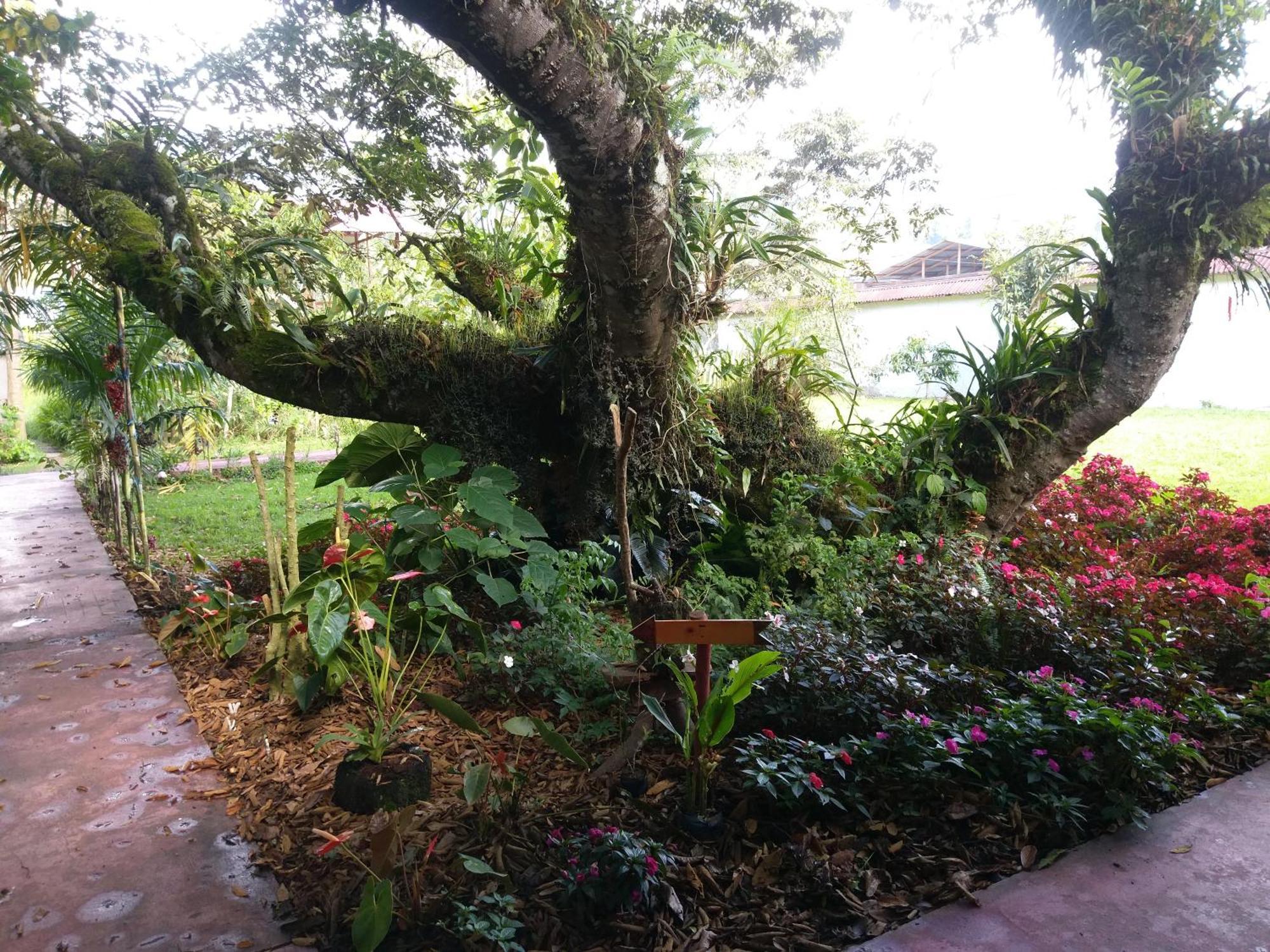 옥사팜파 Refugio De Orquideas 빌라 외부 사진
