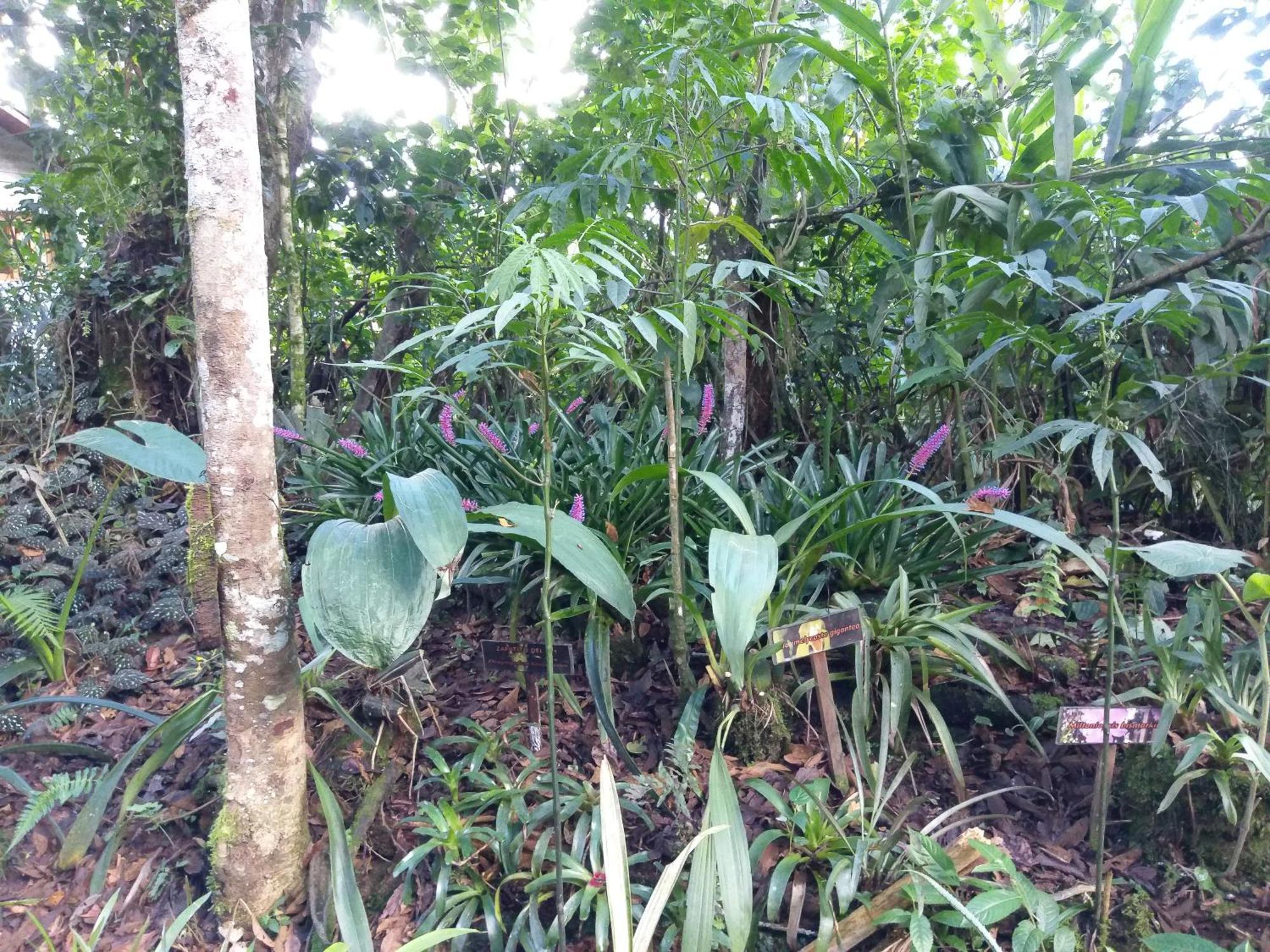 옥사팜파 Refugio De Orquideas 빌라 외부 사진