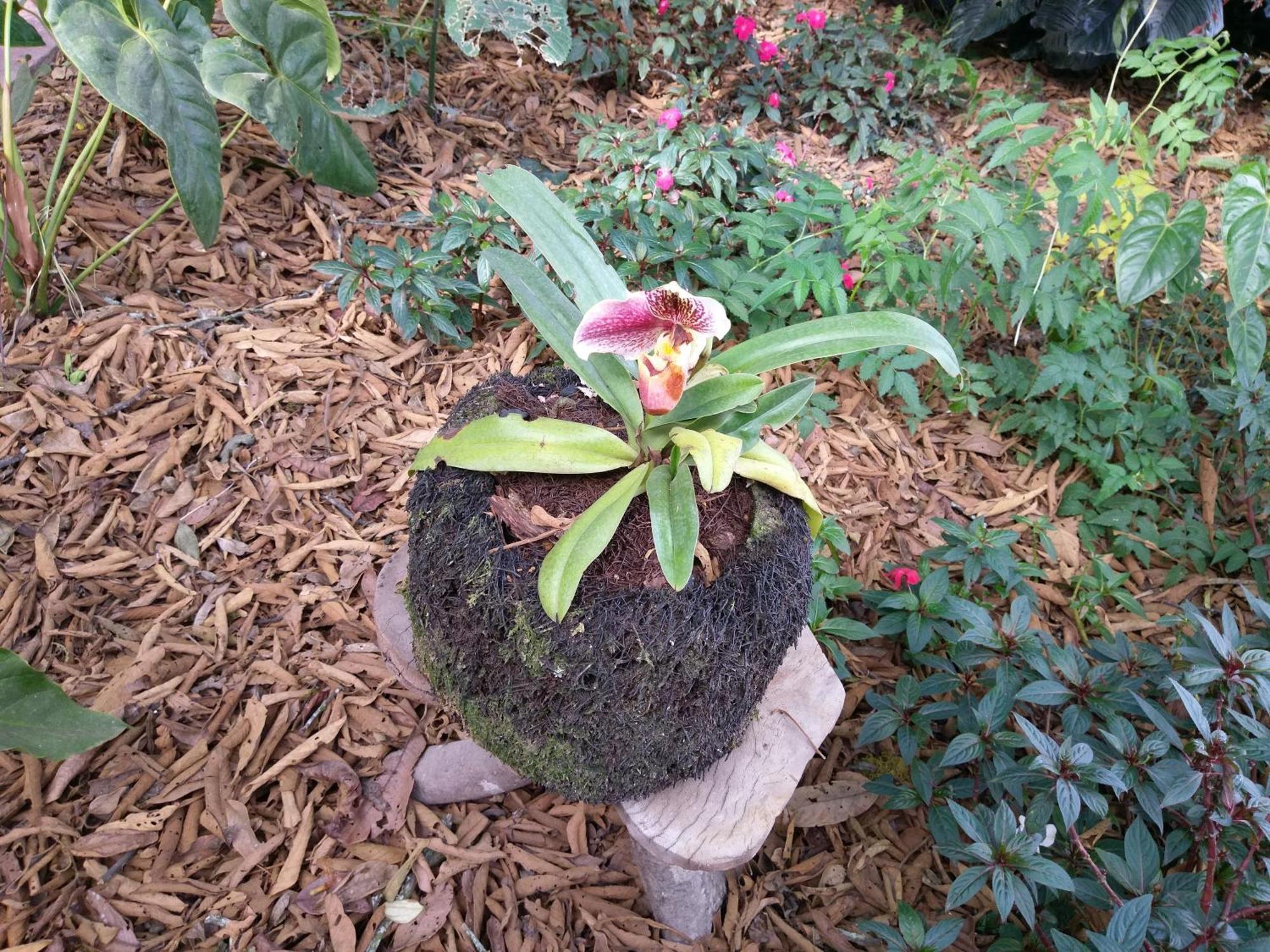 옥사팜파 Refugio De Orquideas 빌라 외부 사진