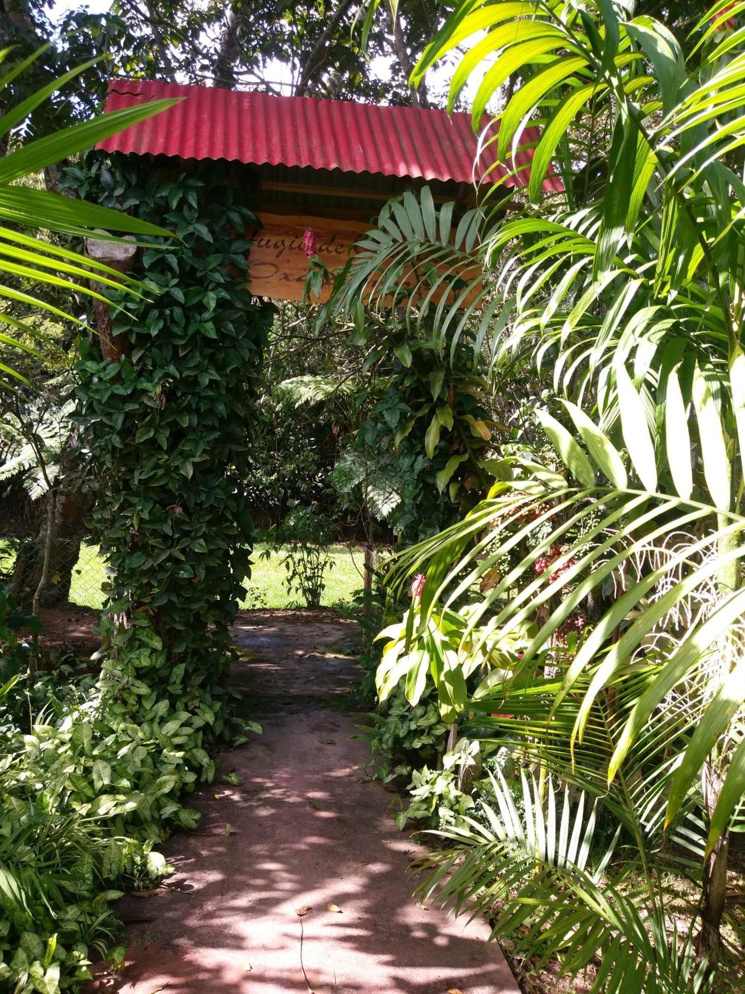 옥사팜파 Refugio De Orquideas 빌라 외부 사진