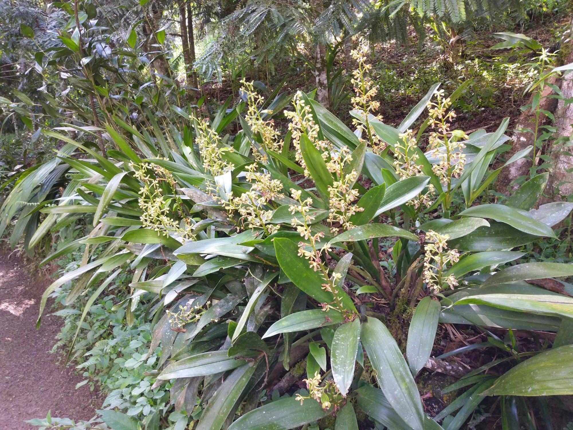 옥사팜파 Refugio De Orquideas 빌라 외부 사진