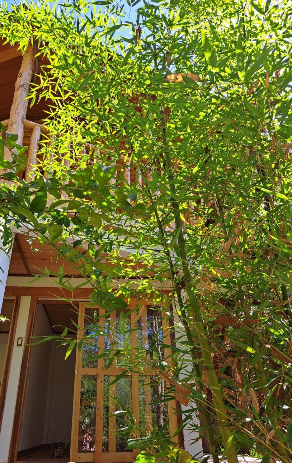 옥사팜파 Refugio De Orquideas 빌라 외부 사진