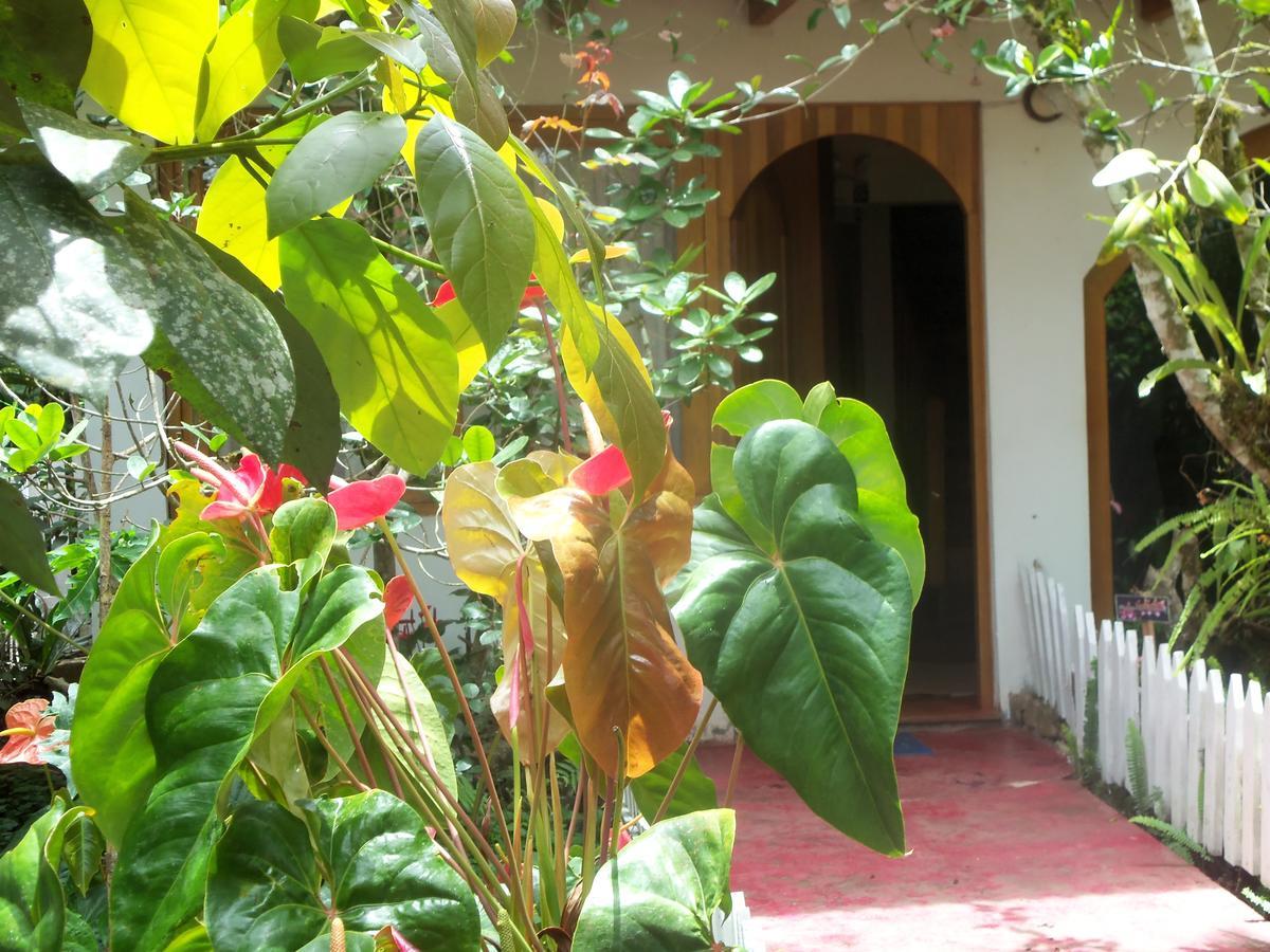 옥사팜파 Refugio De Orquideas 빌라 외부 사진